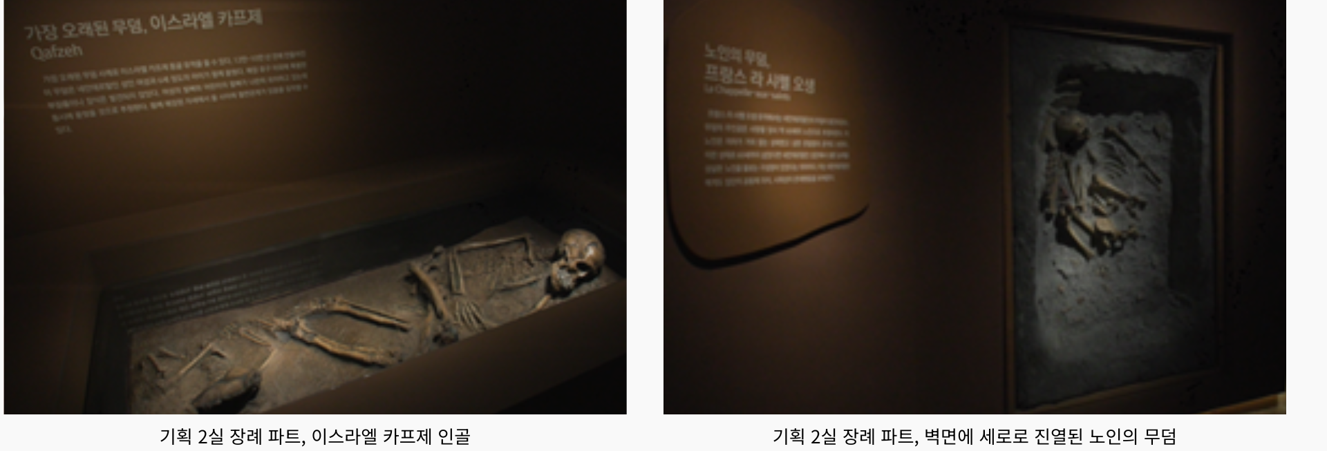 국립중앙박물관 특별전