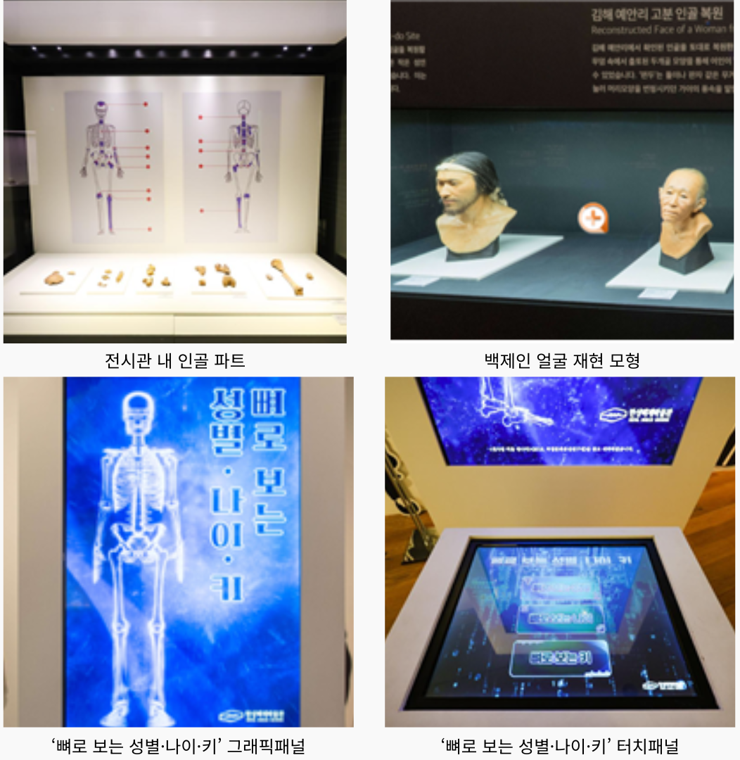 한성백제박물관