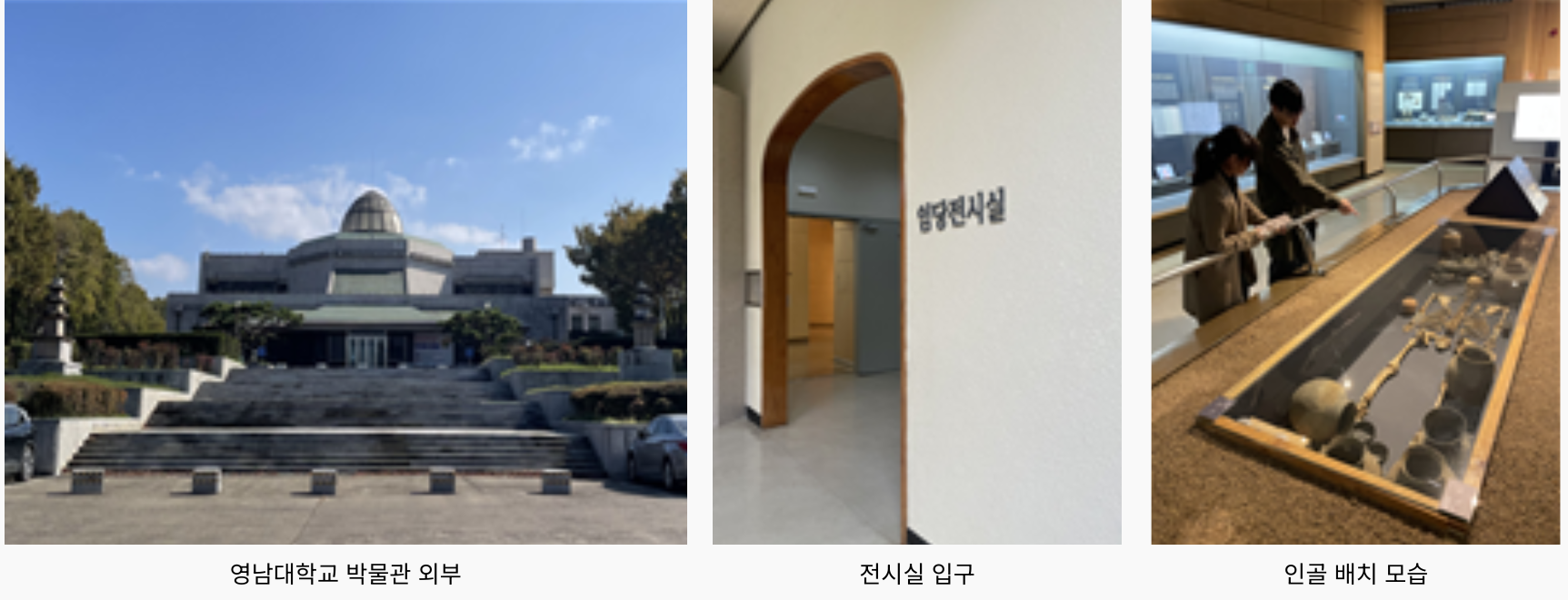 영남대학교 박물관