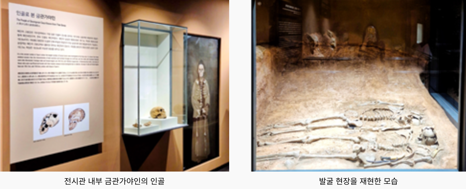 대성동고분박물관