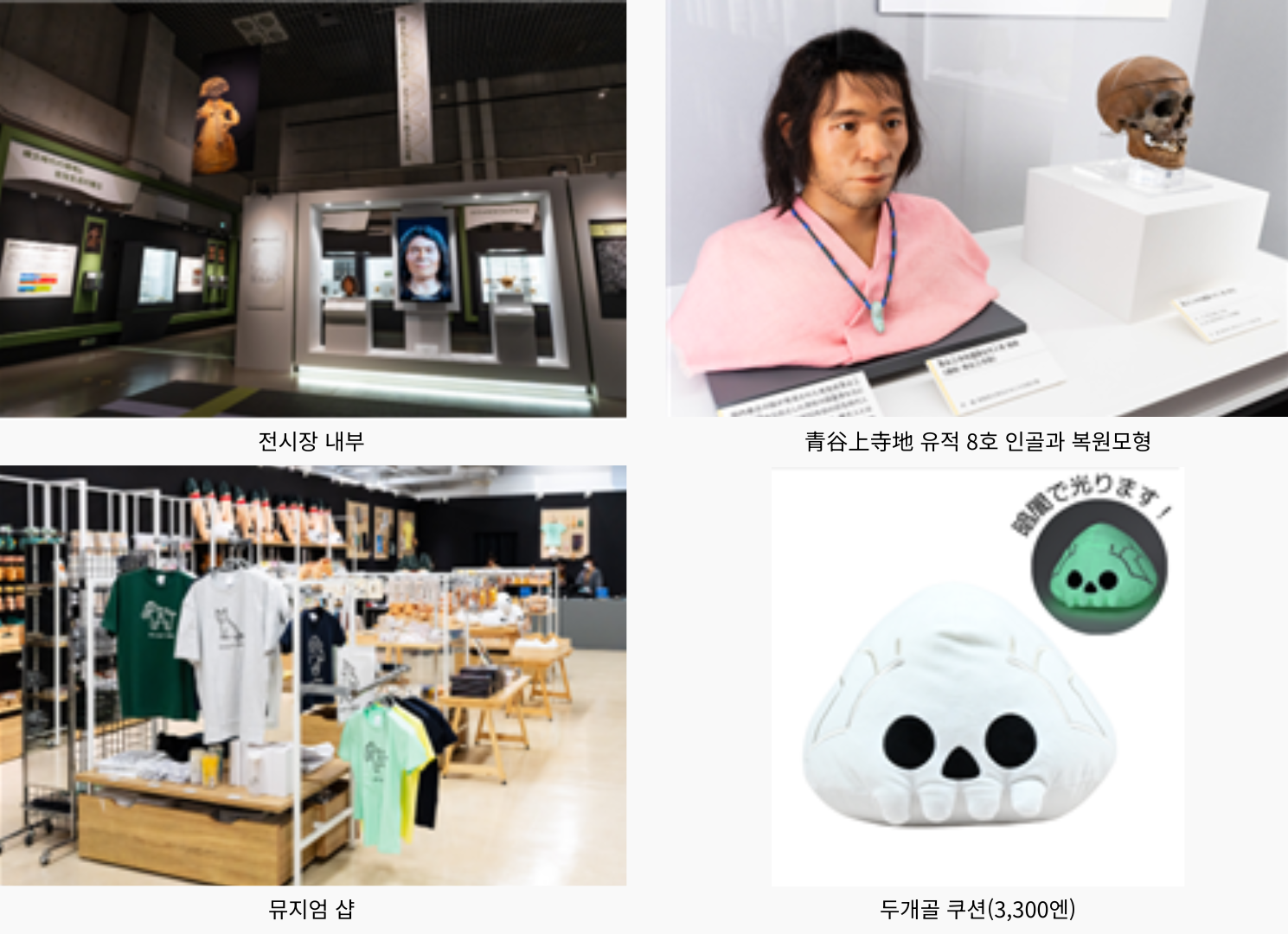 국립과학박물관 특별전시