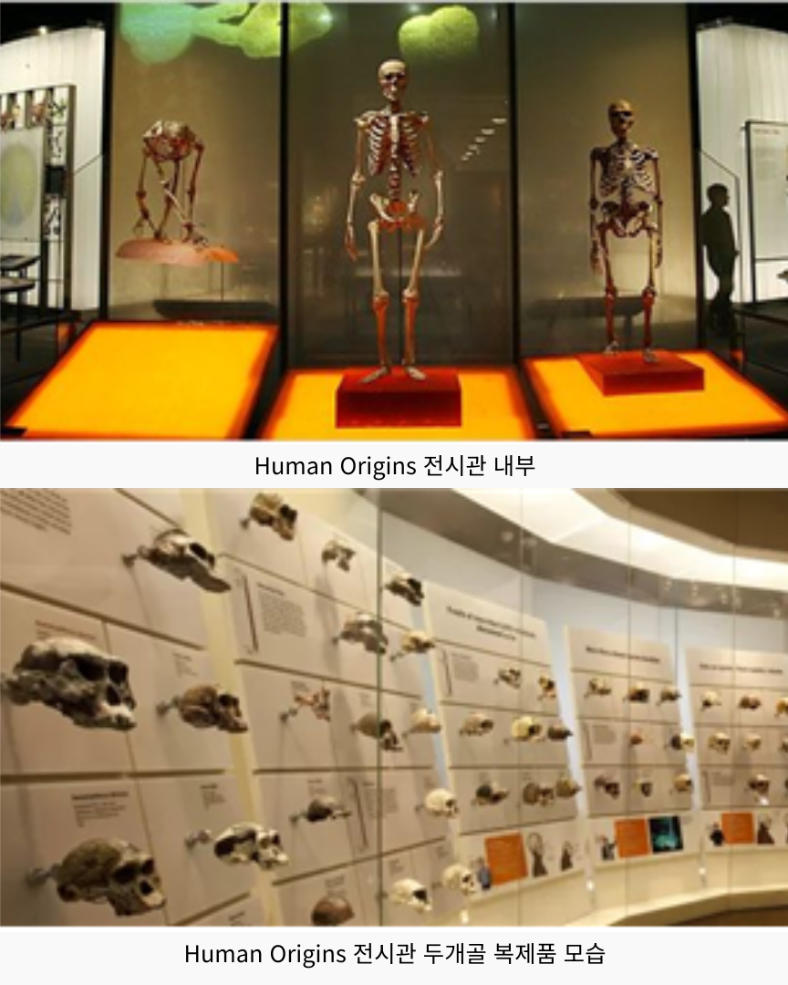 스미소니언 Human Origins