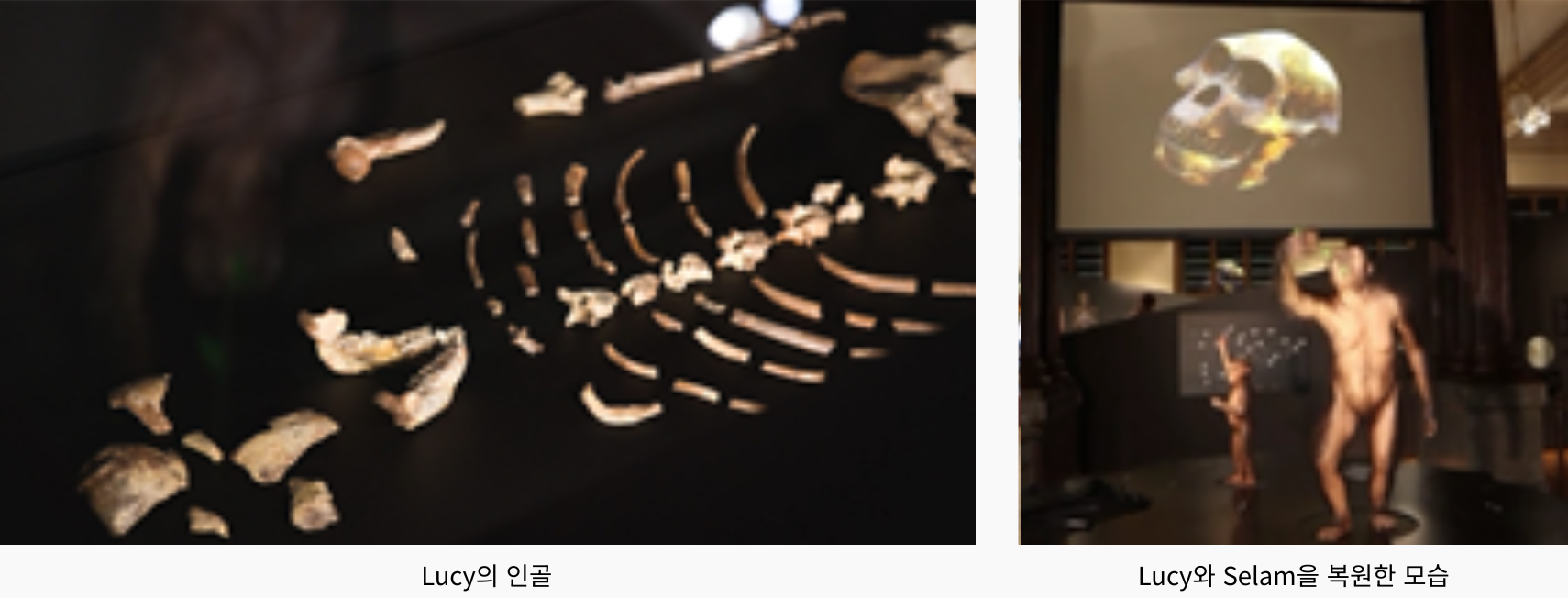 체코 국립박물관